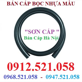 Cáp thép bọc nhựa Mầu ĐEN bán Hà Nội 0912.521.058 | BigBuy360 - bigbuy360.vn