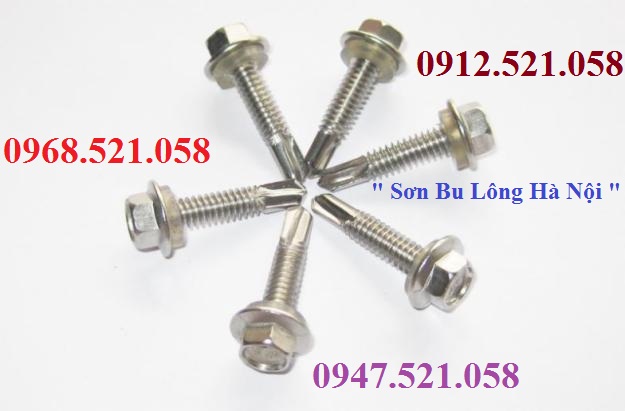 Vít bắn tôn bằng Inox D5.5 bán hà nội 0913.521.058 Mr Sơn kinh doạnh vít tự khoan Inox, vít giác vít phông Inox 304 M10 | BigBuy360 - bigbuy360.vn Vít bắn tôn bằng Inox D5.5 bán hà nội 0913.521.058 Mr Sơn kinh doạnh vít tự khoan Inox, vít giác vít phông Inox 304 M10 | BigBuy360 - bigbuy360.vn