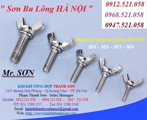 Bu lông tai hồng sắt xi và Inox bán hà nội 0968.521.058 bán đai ốc tai hồng, bulong tai hồng M10/8/6/5/4 bulong Sơn Mr | BigBuy360 - bigbuy360.vn