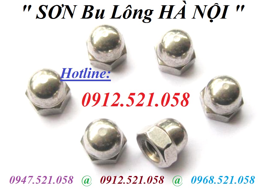 Ê cu mũ Inox 201,304 M24 bán Hà Nội 0912.521.058 đai ốc mũ, tán bầu, ốc mũ chụp sắt mạ kẽm M30.M27, ê cu mũ Inox M4 | BigBuy360 - bigbuy360.vn