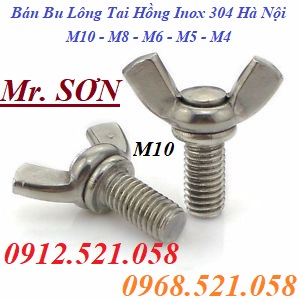 Bu lông tai hồng sắt xi và Inox bán hà nội 0968.521.058 bán đai ốc tai hồng, bulong tai hồng M10/8/6/5/4 bulong Sơn Mr | BigBuy360 - bigbuy360.vn