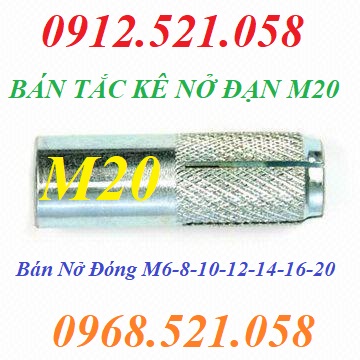 Nở đóng trần bê tông M20 mạ kẽm 0968.521.058 cung cấp tắc kê đạn M14-16-12-10-8-6 sắt mạ kẽm & Inox 304 hà nội | BigBuy360 - bigbuy360.vn