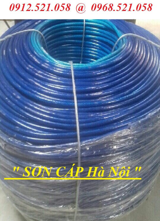 Cáp bọc nhựa mầu Xanh 8 mm ( 8 ly ) 0912.521.058 bán dây cáp thép mạ kẽm bọc nhựa vàng,đỏ,đen,trắng rẻ Hà Nội  | BigBuy360 - bigbuy360.vn