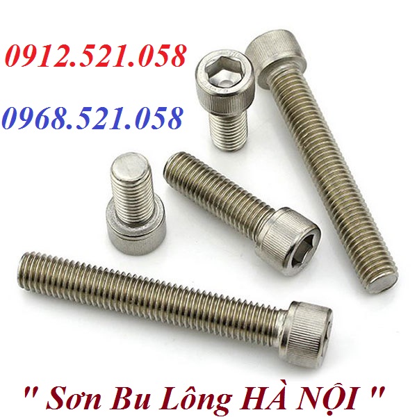 Lục giác chìm Inox 304 Thanh Sơn 0912.521.058 cung cấp vít trí, vít pake, bu lông Inox 304, Ubolt Inox 304,ốc vít Ha Noi | BigBuy360 - bigbuy360.vn Lục giác chìm Inox 304 Thanh Sơn 0912.521.058 cung cấp vít trí, vít pake, bu lông Inox 304, Ubolt Inox 304,ốc vít Ha Noi | BigBuy360 - bigbuy360.vn