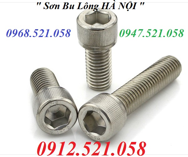 Lục giác chìm Inox 304 Thanh Sơn 0912.521.058 cung cấp vít trí, vít pake, bu lông Inox 304, Ubolt Inox 304,ốc vít Ha Noi | BigBuy360 - bigbuy360.vn Lục giác chìm Inox 304 Thanh Sơn 0912.521.058 cung cấp vít trí, vít pake, bu lông Inox 304, Ubolt Inox 304,ốc vít Ha Noi | BigBuy360 - bigbuy360.vn