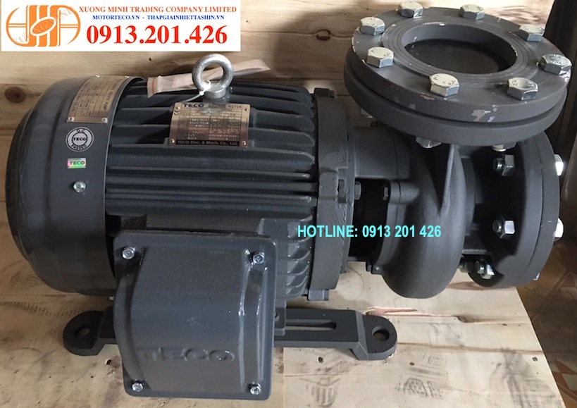 Máy bơm nước Teco 7.5Hp | BigBuy360 - bigbuy360.vn