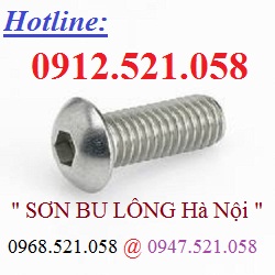 Lục giác chìm Inox 304 Thanh Sơn 0912.521.058 cung cấp vít trí, vít pake, bu lông Inox 304, Ubolt Inox 304,ốc vít Ha Noi | BigBuy360 - bigbuy360.vn