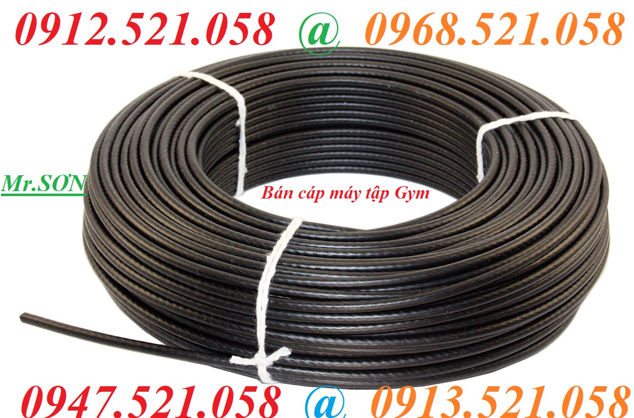 Cáp bọc nhựa mầu đen D6 cho máy tập Gym 0913.521.058 cung cấp lót cáp, đầi cốt nhôm ép cáp, dòng dọc Inox 304 hà nội | BigBuy360 - bigbuy360.vn Cáp bọc nhựa mầu đen D6 cho máy tập Gym 0913.521.058 cung cấp lót cáp, đầi cốt nhôm ép cáp, dòng dọc Inox 304 hà nội | BigBuy360 - bigbuy360.vn