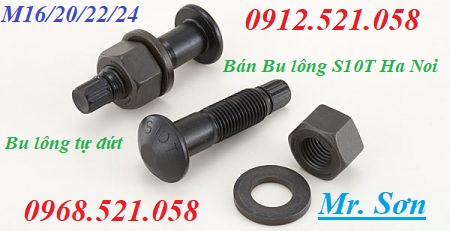 S10T kinh doanh bulong tự đứt hà nội 0913.521.058 ốc vít bu lông Thanh Sơn hà nội có bu lông cắt đứt, bu lông cắt đuôi | BigBuy360 - bigbuy360.vn S10T kinh doanh bulong tự đứt hà nội 0913.521.058 ốc vít bu lông Thanh Sơn hà nội có bu lông cắt đứt, bu lông cắt đuôi | BigBuy360 - bigbuy360.vn