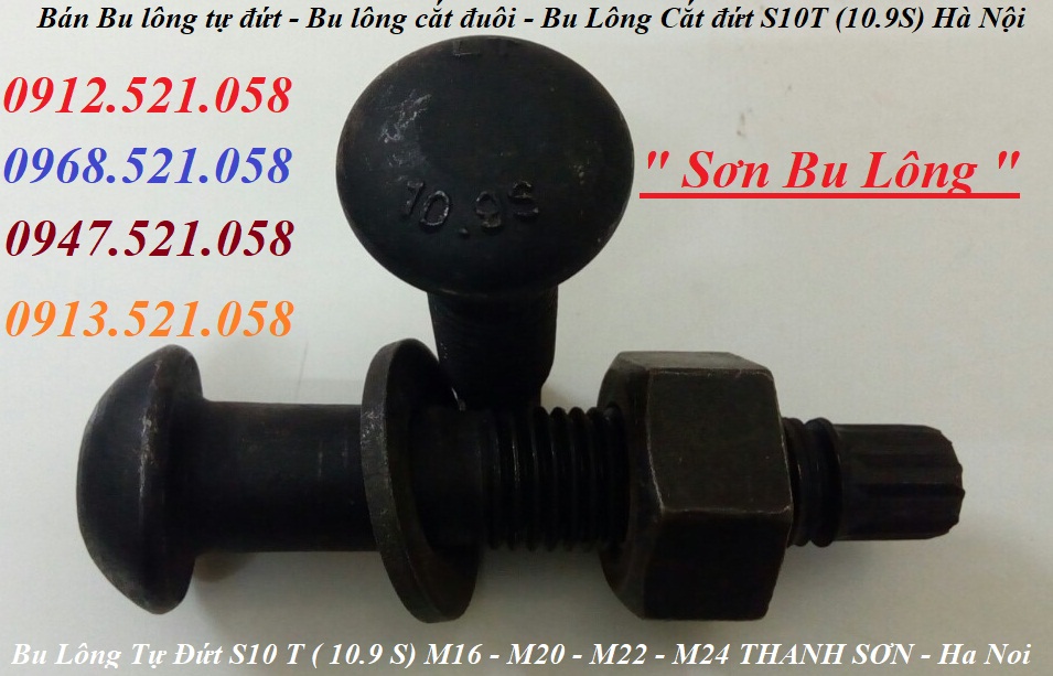 S10T kinh doanh bulong tự đứt hà nội 0913.521.058 ốc vít bu lông Thanh Sơn hà nội có bu lông cắt đứt, bu lông cắt đuôi | BigBuy360 - bigbuy360.vn S10T kinh doanh bulong tự đứt hà nội 0913.521.058 ốc vít bu lông Thanh Sơn hà nội có bu lông cắt đứt, bu lông cắt đuôi | BigBuy360 - bigbuy360.vn