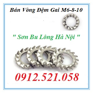 Long đền gai ngoài D8 xi kẽm 0912.521.058 cung cấp vòng đệm răng cưa ngoài, long đen xước M12-10-8-6-5-4-3 rẻ Hà Nội