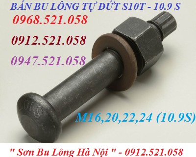 S10T kinh doanh bulong tự đứt hà nội 0913.521.058 ốc vít bu lông Thanh Sơn hà nội có bu lông cắt đứt, bu lông cắt đuôi 