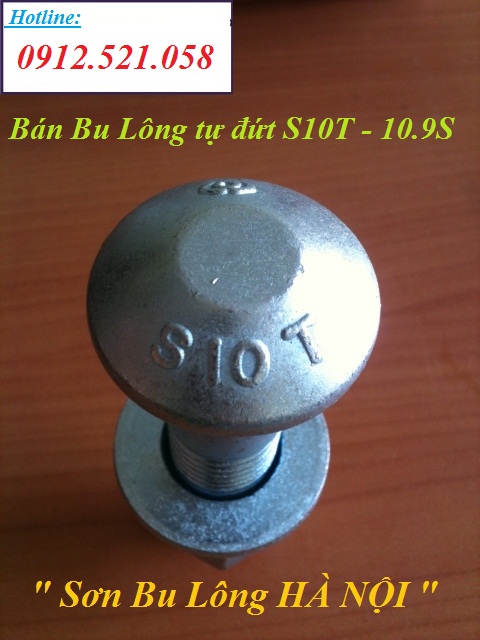 S10T kinh doanh bulong tự đứt hà nội 0913.521.058 ốc vít bu lông Thanh Sơn hà nội có bu lông cắt đứt, bu lông cắt đuôi | BigBuy360 - bigbuy360.vn S10T kinh doanh bulong tự đứt hà nội 0913.521.058 ốc vít bu lông Thanh Sơn hà nội có bu lông cắt đứt, bu lông cắt đuôi | BigBuy360 - bigbuy360.vn