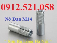 Nở đạn M14, nở đóng trần bê tông 0947.521.058 cung cấp tắc kê đạn mạ kẽm M20-16-12-10-8-6, có nở đóng Inox 304  | BigBuy360 - bigbuy360.vn