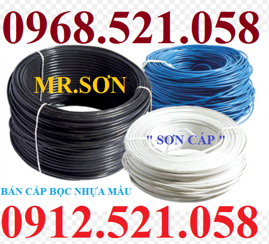 Cáp thép mạ kẽm bọc nhựa mầu xanh 0947.521.058 có khóa xe máy cáp bọc nhựa,cáp máy tập Gym bọc nhựa đen D6 ha noi | BigBuy360 - bigbuy360.vn Cáp thép mạ kẽm bọc nhựa mầu xanh 0947.521.058 có khóa xe máy cáp bọc nhựa,cáp máy tập Gym bọc nhựa đen D6 ha noi | BigBuy360 - bigbuy360.vn