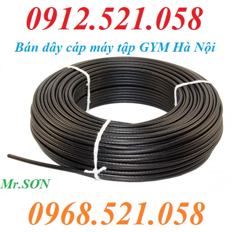 Cáp bọc nhựa mầu đen D6 cho máy tập Gym 0913.521.058 cung cấp lót cáp, đầi cốt nhôm ép cáp, dòng dọc Inox 304 hà nội | BigBuy360 - bigbuy360.vn Cáp bọc nhựa mầu đen D6 cho máy tập Gym 0913.521.058 cung cấp lót cáp, đầi cốt nhôm ép cáp, dòng dọc Inox 304 hà nội | BigBuy360 - bigbuy360.vn