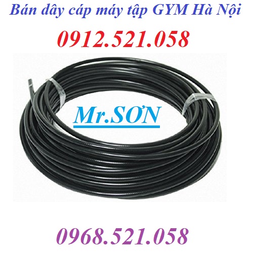 Cáp bọc nhựa mầu đen D6 cho máy tập Gym 0913.521.058 cung cấp lót cáp, đầi cốt nhôm ép cáp, dòng dọc Inox 304 hà nội | BigBuy360 - bigbuy360.vn Cáp bọc nhựa mầu đen D6 cho máy tập Gym 0913.521.058 cung cấp lót cáp, đầi cốt nhôm ép cáp, dòng dọc Inox 304 hà nội | BigBuy360 - bigbuy360.vn