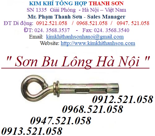 Nở thép móc tròn mạ kẽm M10/8/6 Mr Sơn 0913.521.058 cung cấp tắc kê bulong nở sắt,vít nở sắt nở móc,bu lông mắt tròn 304 | BigBuy360 - bigbuy360.vn