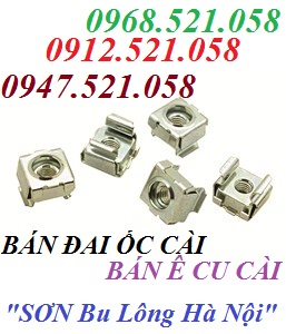 Đai ốc cài tủ điện 0913.521.058 Chuyên doanh ốc cài, ê cu cài, đai ốc cài M5.6.8.10 sắt mạ kẽm, ê cu cài Inox M6 Mr Sơn | BigBuy360 - bigbuy360.vn