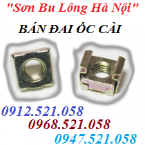 Đai ốc cài tủ điện 0913.521.058 Chuyên doanh ốc cài, ê cu cài, đai ốc cài M5.6.8.10 sắt mạ kẽm, ê cu cài Inox M6 Mr Sơn