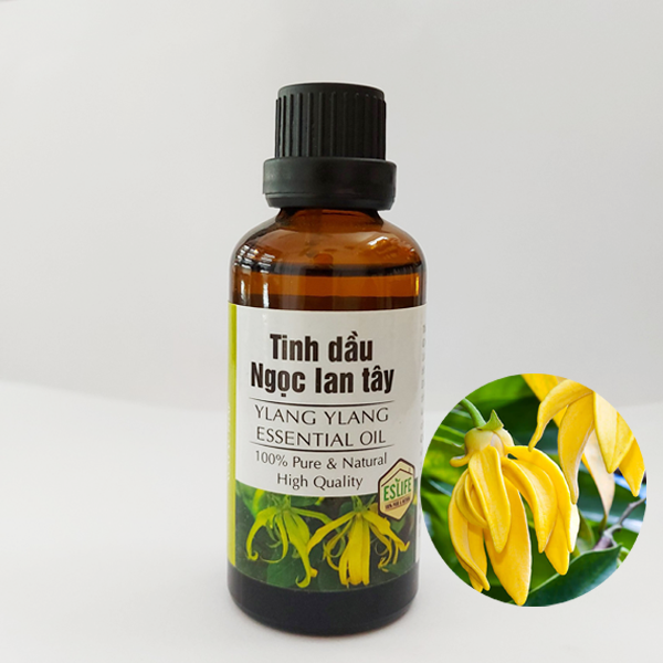 Tinh dầu Ngọc Lan Tây Ylang – Ylang nguyên chất tự nhiên Eslife | bán buôn bán lẻ tại hà nội | BigBuy360 - bigbuy360.vn