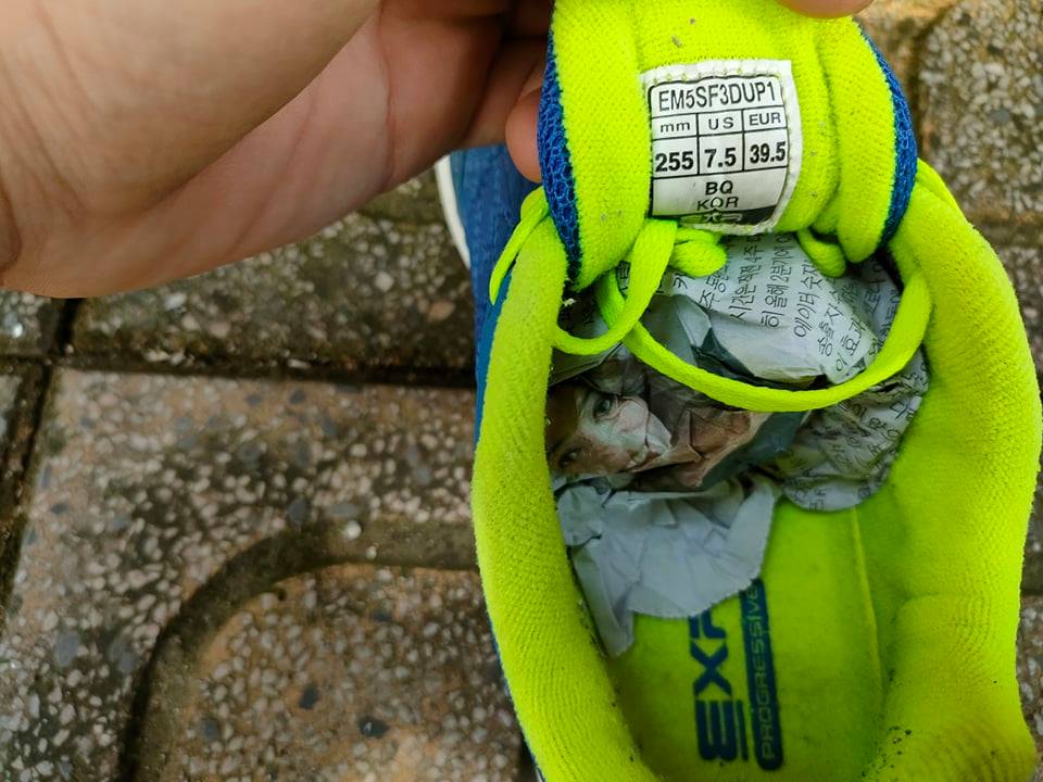 Giày Exr Progressive Korea |nhắn trực tiếp ZALO  0907.130.133 để xem thêm thật nhiều mẫu mới nhé | BigBuy360 - bigbuy360.vn