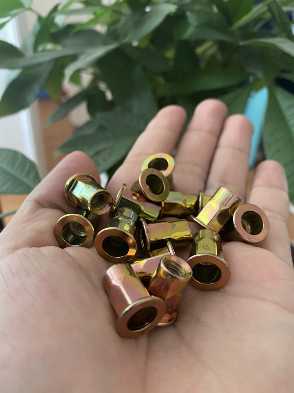 PHÂN PHỐI  CÁC LOẠI ECU RÚT, ECU HÀN, ECU CHẤU NGÀNH GỖ GIÁ TỐT